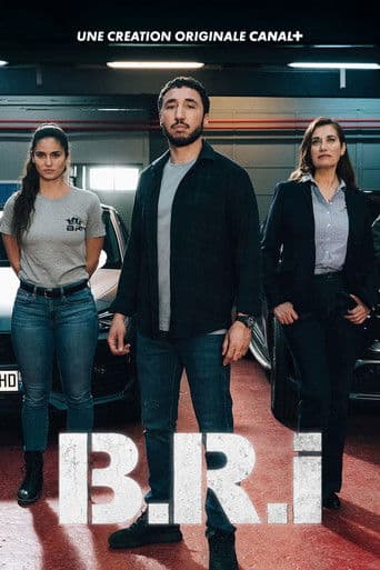 Póster de The Brigade