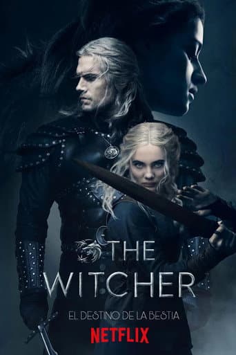 Póster de The Witcher